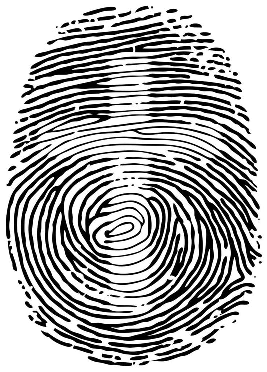 Zoektocht naar eigen identiteit